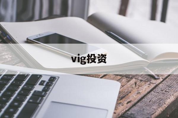 vig投资(vigembus下载)